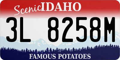 ID license plate 3L8258M