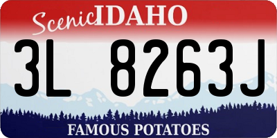 ID license plate 3L8263J