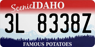 ID license plate 3L8338Z