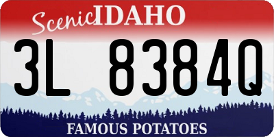 ID license plate 3L8384Q