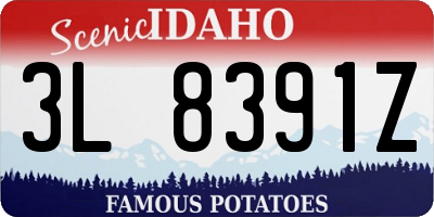 ID license plate 3L8391Z