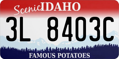 ID license plate 3L8403C