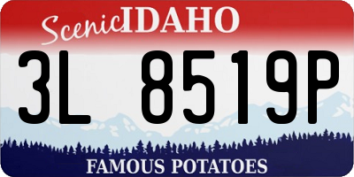ID license plate 3L8519P