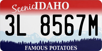 ID license plate 3L8567M