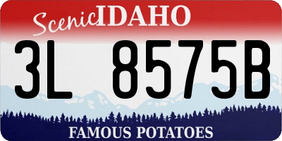 ID license plate 3L8575B
