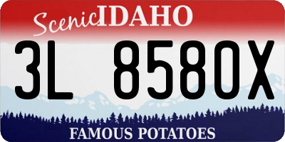 ID license plate 3L8580X