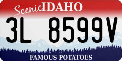 ID license plate 3L8599V