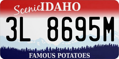ID license plate 3L8695M