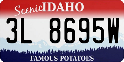 ID license plate 3L8695W