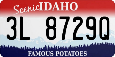 ID license plate 3L8729Q