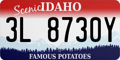 ID license plate 3L8730Y