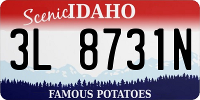 ID license plate 3L8731N