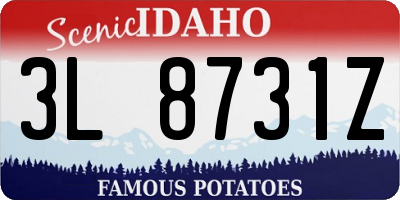 ID license plate 3L8731Z
