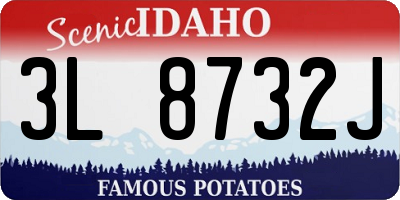 ID license plate 3L8732J