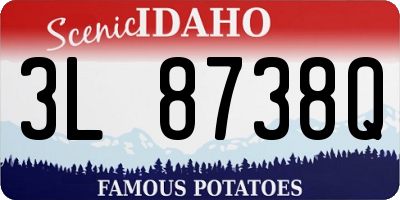 ID license plate 3L8738Q
