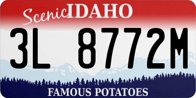 ID license plate 3L8772M