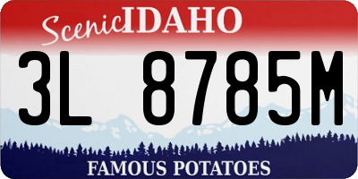 ID license plate 3L8785M