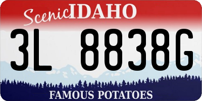ID license plate 3L8838G