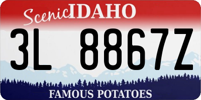 ID license plate 3L8867Z