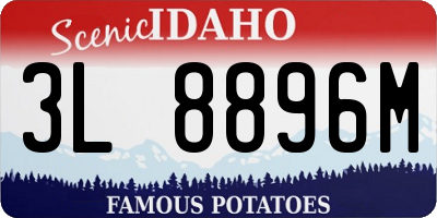 ID license plate 3L8896M