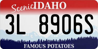 ID license plate 3L8906S