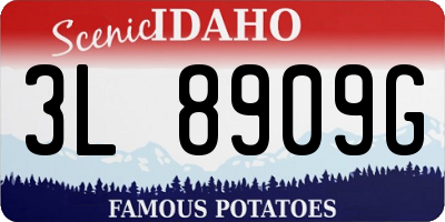 ID license plate 3L8909G