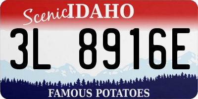 ID license plate 3L8916E