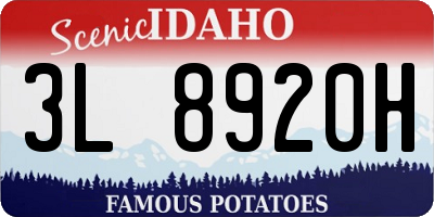 ID license plate 3L8920H