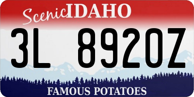 ID license plate 3L8920Z
