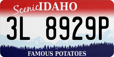 ID license plate 3L8929P