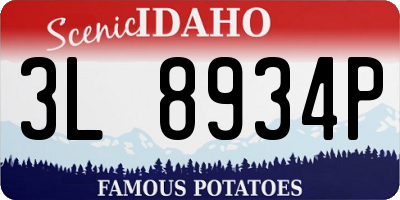 ID license plate 3L8934P
