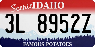 ID license plate 3L8952Z