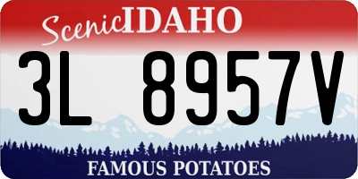 ID license plate 3L8957V