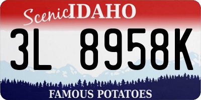 ID license plate 3L8958K