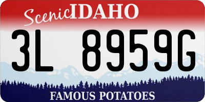 ID license plate 3L8959G