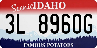 ID license plate 3L8960G