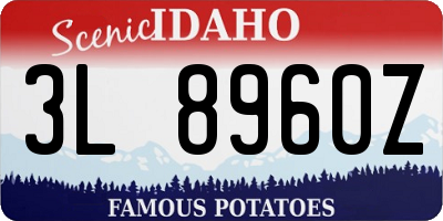 ID license plate 3L8960Z