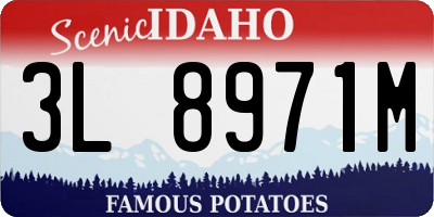 ID license plate 3L8971M