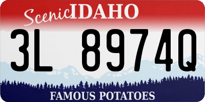 ID license plate 3L8974Q