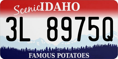 ID license plate 3L8975Q