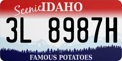 ID license plate 3L8987H