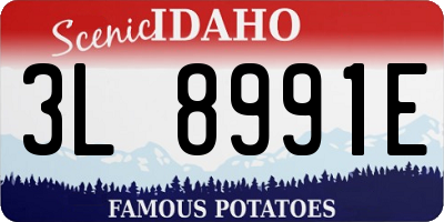ID license plate 3L8991E