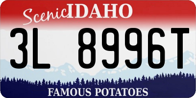 ID license plate 3L8996T