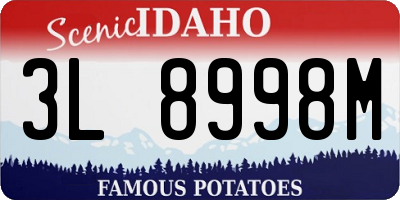 ID license plate 3L8998M