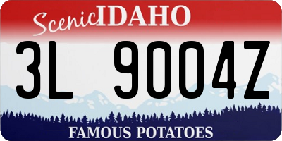 ID license plate 3L9004Z