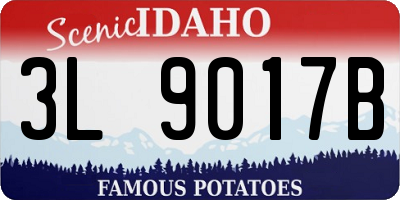 ID license plate 3L9017B