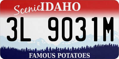 ID license plate 3L9031M