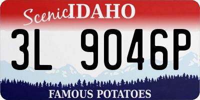ID license plate 3L9046P