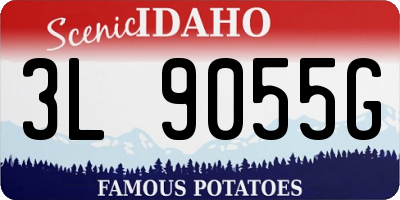ID license plate 3L9055G