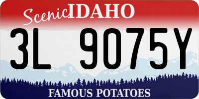 ID license plate 3L9075Y